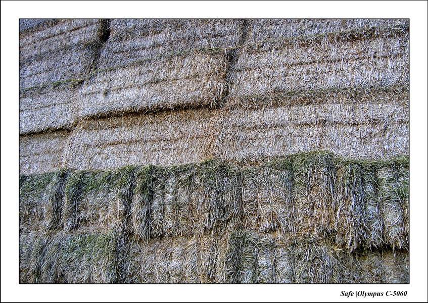 2006 - 05 - Auvers saint georges 03